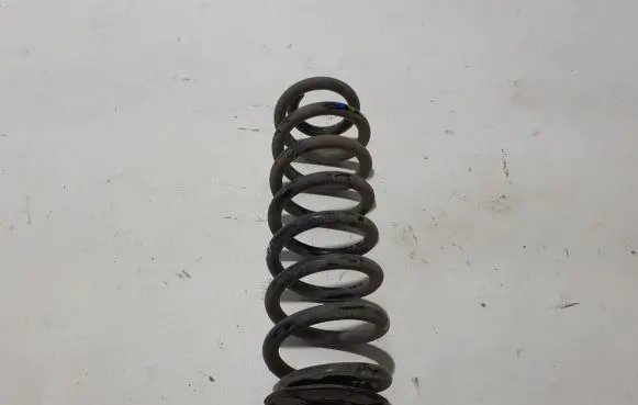 Dacia Spring Rear coil spring 550200356R