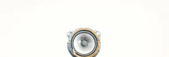 Lexus IS 220D-250-350 Front door speaker 8616053210