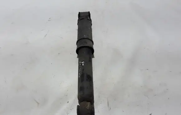 Renault Kangoo II Rear shock absorber/damper 562108344R
