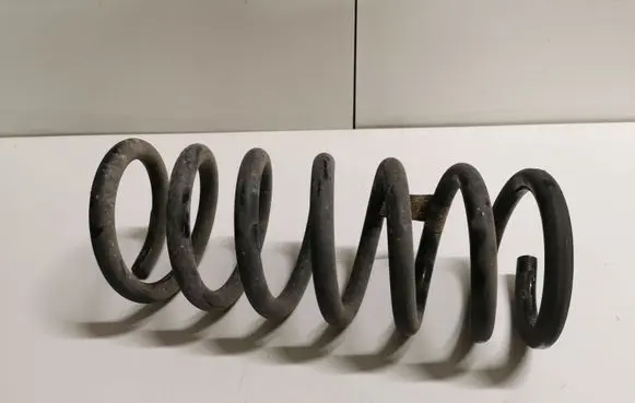 Ford Fusion II Rear coil spring DG9C5560