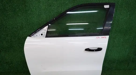 Citroen C3 Front door 