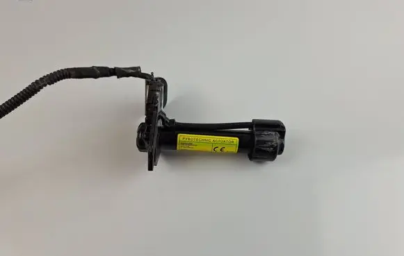 KIA Sorento Pedestrian airbag 1395P10161