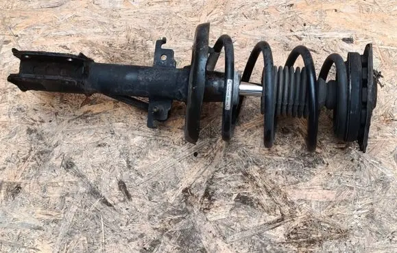 Renault Scenic III - Grand scenic III Front shock absorber with coil spring 543022646R E4615001 03121436