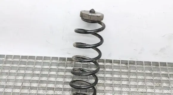Audi Q5 SQ5 Rear coil spring