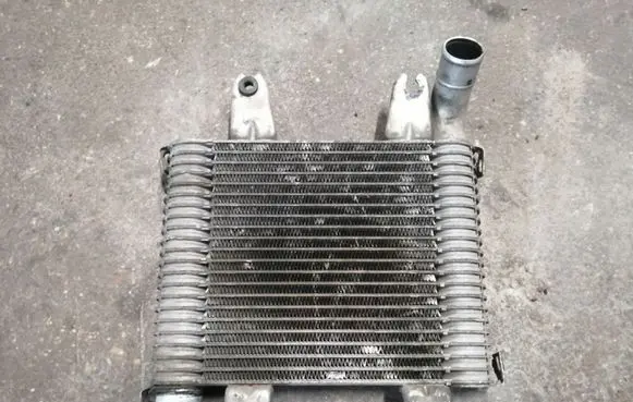 KIA Carnival Intercooler radiator 55313550