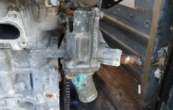 Mazda Xedos 9 Engine coolant pipe/hose