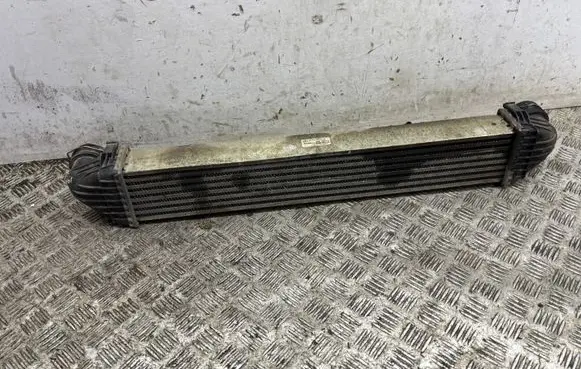 Mercedes-Benz A W169 Intercooler radiator A1695000000