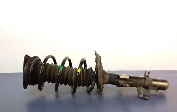 Nissan Qashqai Front shock absorber with coil spring 543034FA3A