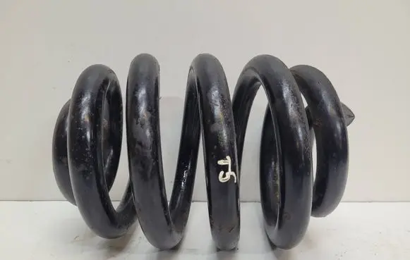 Rear coil spring