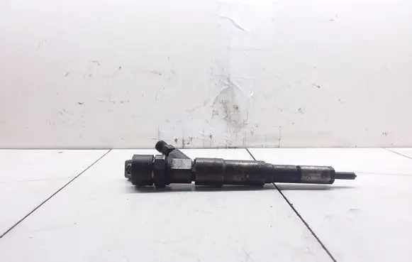 BMW 5 E39 Fuel injector 0445110029
