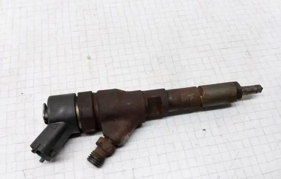 Fiat Ducato Fuel injector 9641742880