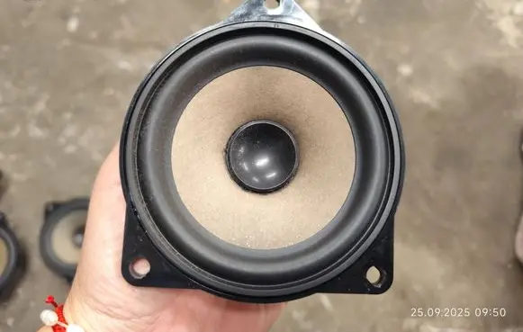 Front door speaker