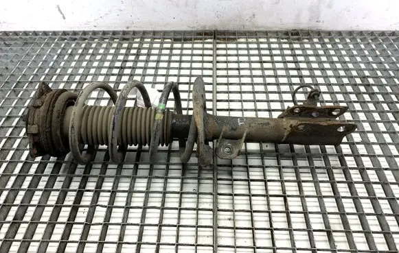 Nissan Qashqai Front shock absorber/damper 824903007720