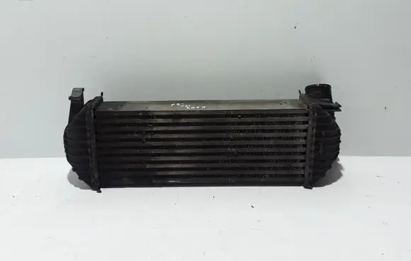 Renault Kangoo II Intercooler radiator 8200427469