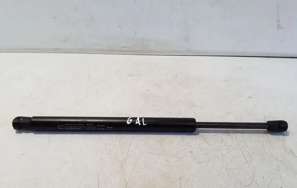 Tailgate/trunk strut/damper