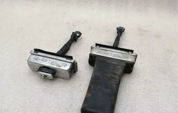 Land Rover Range Rover Sport L494 Front door check strap stopper CPLA27200AB CPLA23552AB