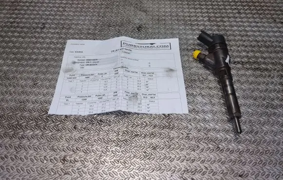 Peugeot Expert Fuel injector 0445110076