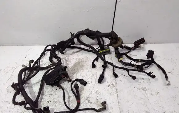 KIA Carens I Engine installation wiring loom
