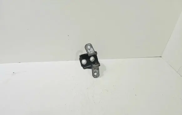Opel Meriva B Front door lower hinge 