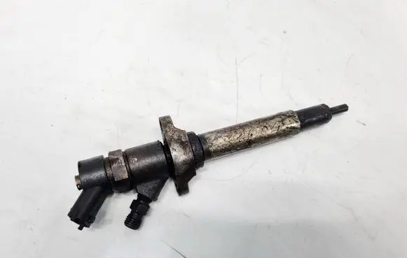 Hyundai Santa Fe Fuel injector 0445110254
