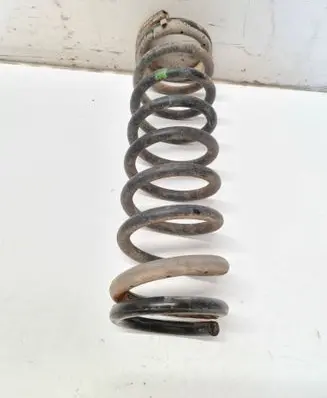 Rear coil spring