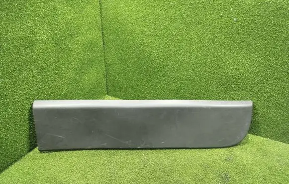 Rear door trim (molding)