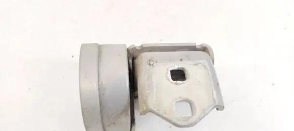 Renault Megane II Rear door lower hinge