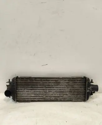 Renault Trafic II (X83) Intercooler radiator 8200219497 93850451