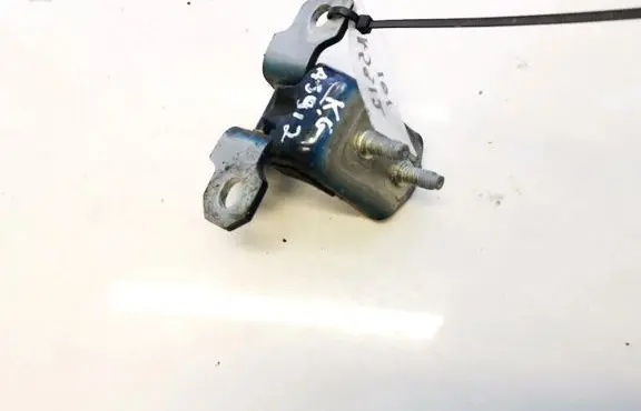 Tailgate/trunk/boot hinge