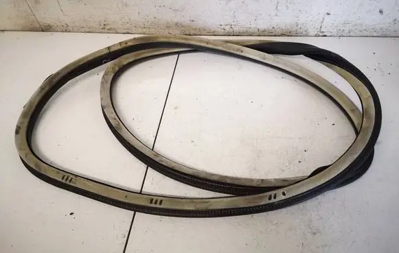 Citroen C5 Rubber seal rear door