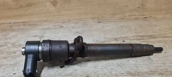 Volvo V70 Fuel injector 0445110251
