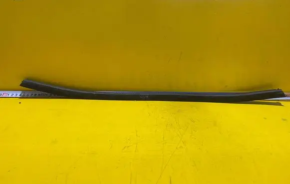 KIA Soul Rear door trim (molding)