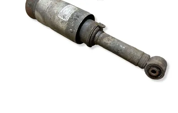 Land Rover Range Rover Sport L320 Air suspension front shock absorber RNB500223 3498720 34987201