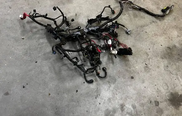 Dacia Sandero III Wiring harness 240119100S