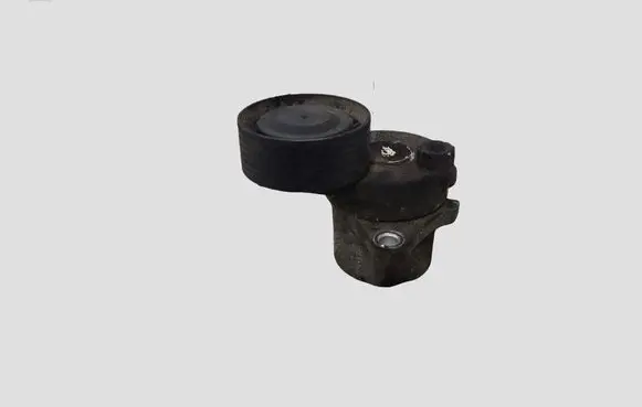Mercedes-Benz Sprinter W906 Generator/alternator belt tensioner