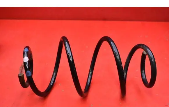 Dacia Lodgy Rear coil spring 