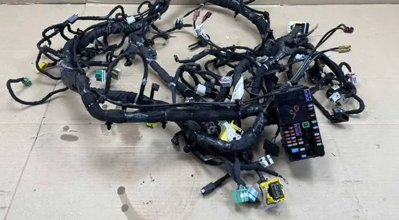 Buick Enclave II Other wiring loom 84268405