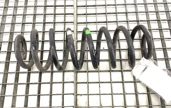 Rear coil spring