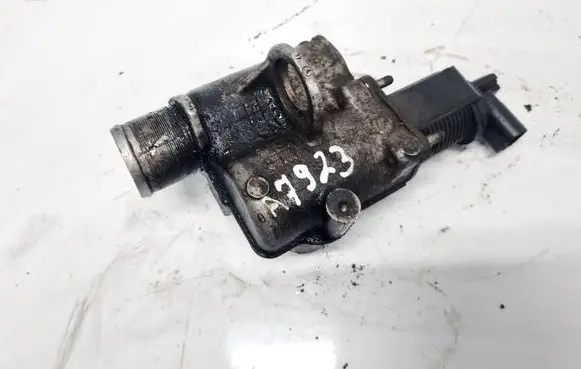 Renault Scenic II - Grand scenic II EGR valve 255366