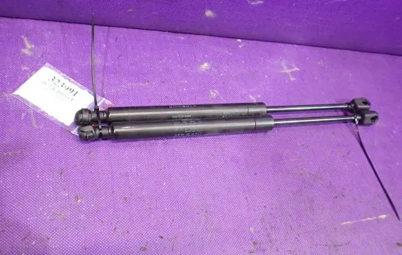 Tailgate strut