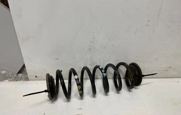 Volkswagen PASSAT B6 Rear coil spring