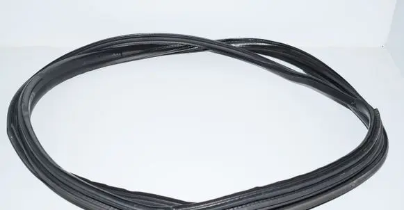 BMW i3 Front door rubber seal 7301741