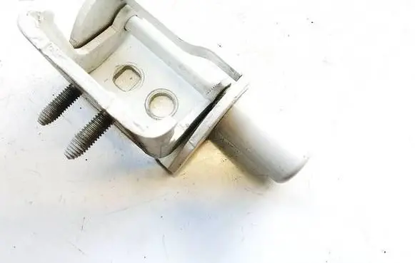 Renault Zoe Rear door lower hinge es71
