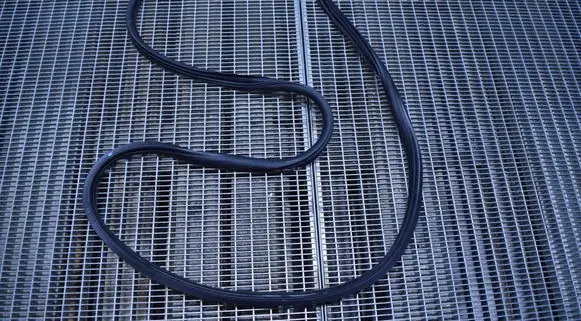 Citroen C3 Front door rubber seal 
