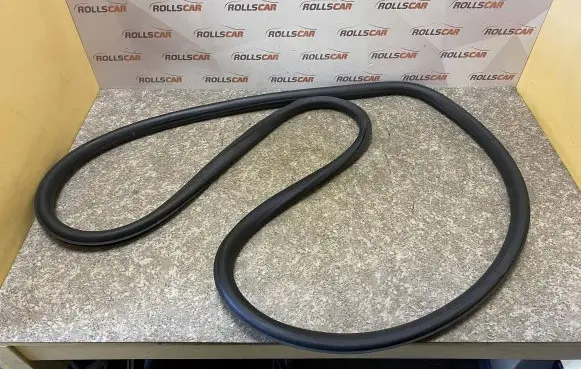 Opel Insignia A Front door rubber seal