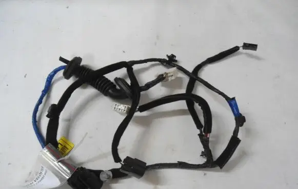 Rear door wiring loom