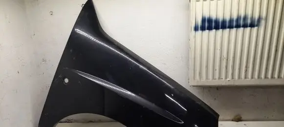 Fiat Doblo Fender