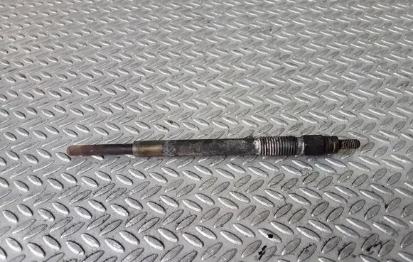 Peugeot 307 Glow plug 0250204001