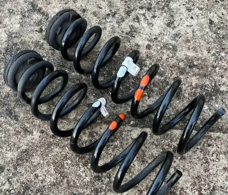 Rear coil spring