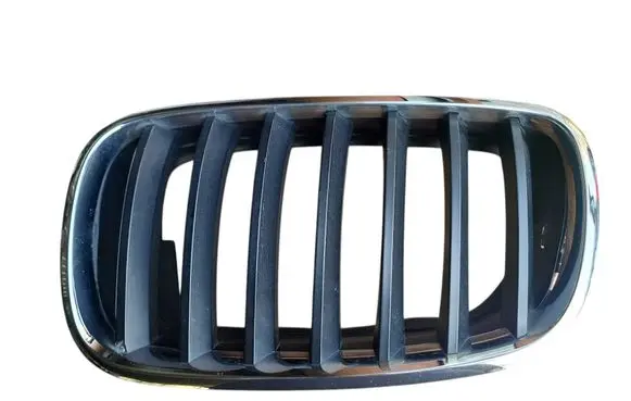 BMW X5 E70 Front grill 51137171395 7171395